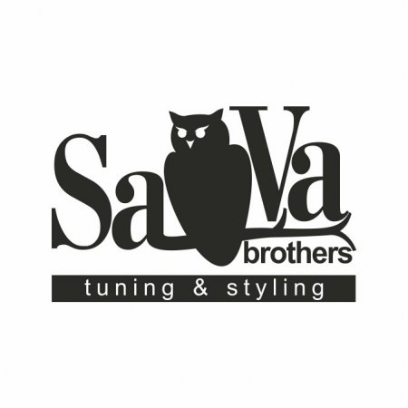 SaVaBrothers