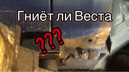 Что стало с Вестой через год? Гниёт ли Веста?