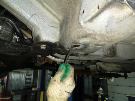 «Антикор +», город Брест